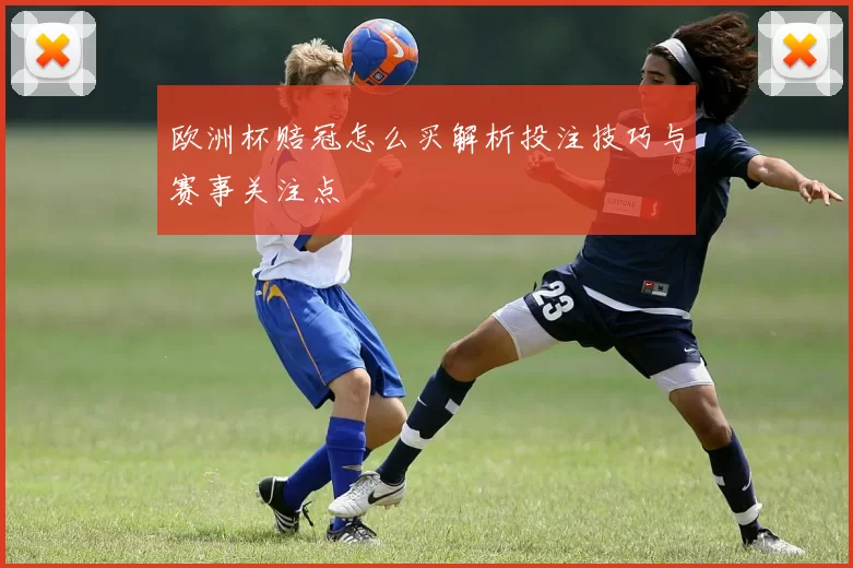 欧洲杯赔冠怎么买解析投注技巧与赛事关注点