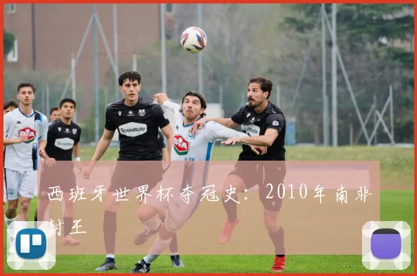 西班牙世界杯夺冠史:2010年南非封王