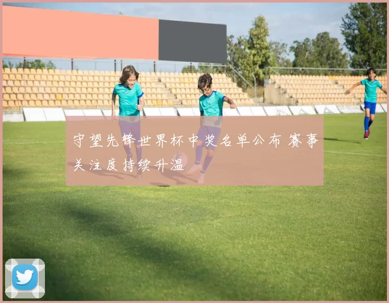 守望先锋世界杯中奖名单公布 赛事关注度持续升温