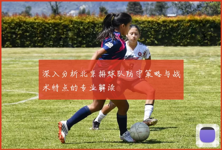 深入分析北京排球队防守策略与战术特点的专业解读