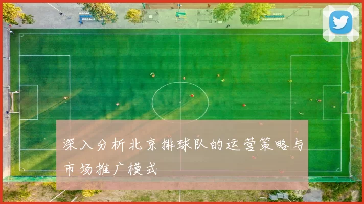 深入分析北京排球队的运营策略与市场推广模式