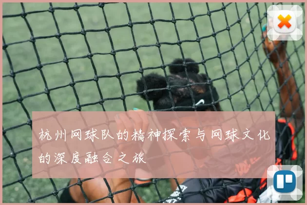 杭州网球队的精神探索与网球文化的深度融合之旅
