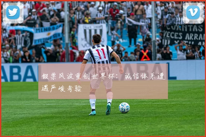 假票风波重创世界杯：诚信体系遭遇严峻考验