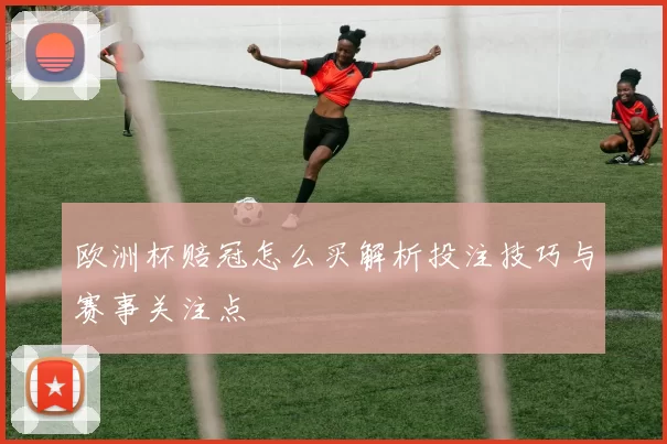 欧洲杯赔冠怎么买解析投注技巧与赛事关注点