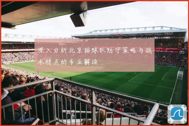 深入分析北京排球队防守策略与战术特点的专业解读