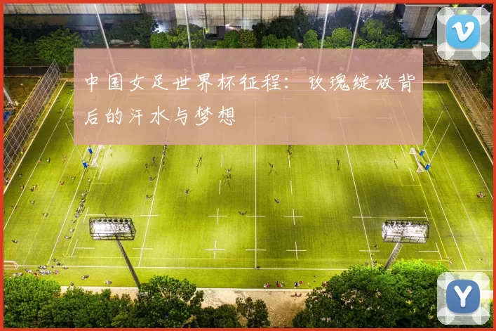 中国女足世界杯征程：玫瑰绽放背后的汗水与梦想