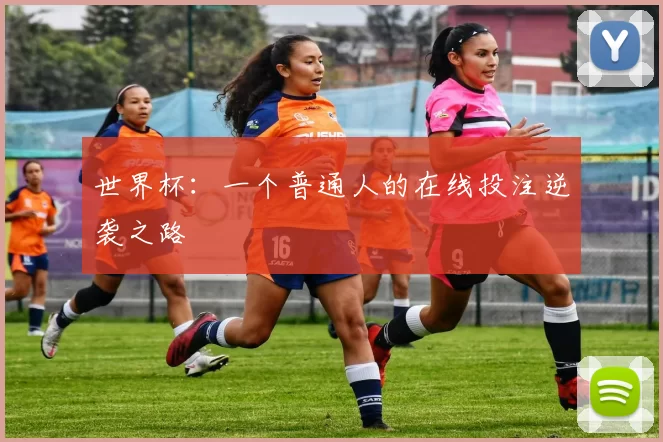 世界杯：一个普通人的在线投注逆袭之路