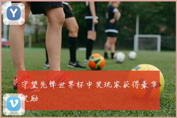 守望先锋世界杯中奖玩家获得豪华奖励
