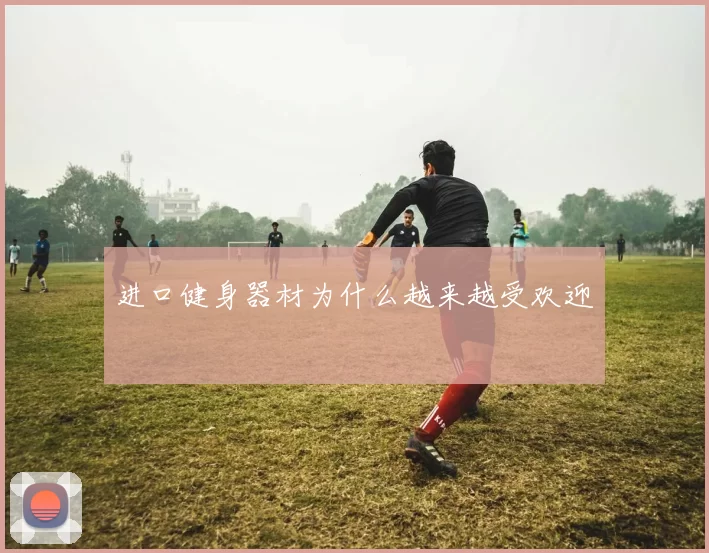 进口健身器材为什么越来越受欢迎