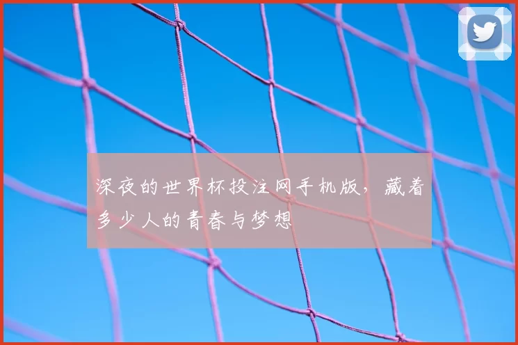 深夜的世界杯投注网手机版,藏着多少人的青春与梦想