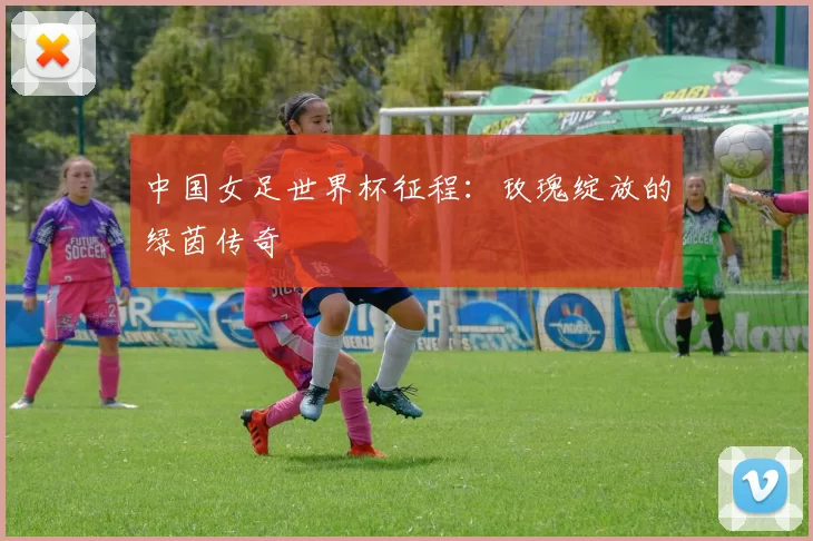中国女足世界杯征程：玫瑰绽放的绿茵传奇