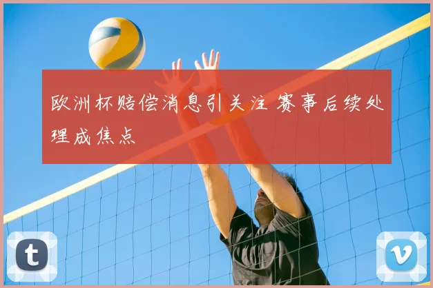 欧洲杯赔偿消息引关注 赛事后续处理成焦点