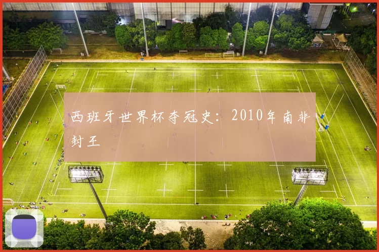 西班牙世界杯夺冠史：2010年南非封王