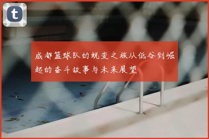 成都篮球队的蜕变之旅从低谷到崛起的奋斗故事与未来展望